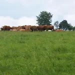 度假居 Maiferien Harz - Haus Silberquelle 210 Qm - Bis 14 Personen- Grosses Haus Fuer Gruppen Mit 6 Schlafzimmern *
