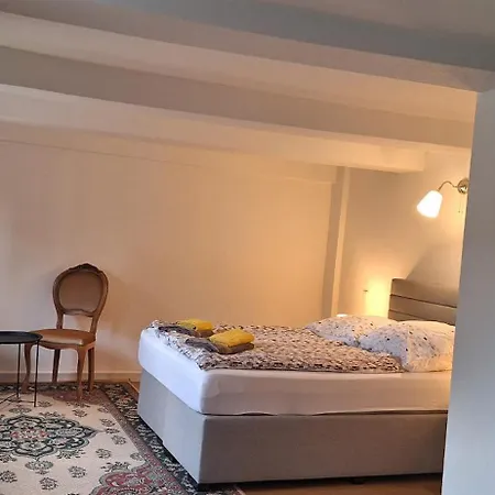 Mai-ferienhaus-harz 210qm *
