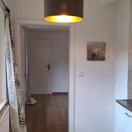 Mai-ferienhaus-harz 210qm