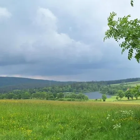 Semesterbostad Maiferien Harz - Haus Silberquelle 210 Qm - Bis 14 Personen- Grosses Haus Fuer Gruppen Mit 6 Schlafzimmern *