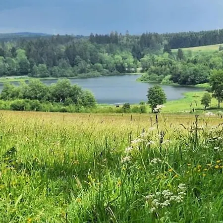 Feriehus Maiferien Harz - Haus Silberquelle 210 Qm - Bis 16 Personen- Grosses Haus Fuer Gruppen