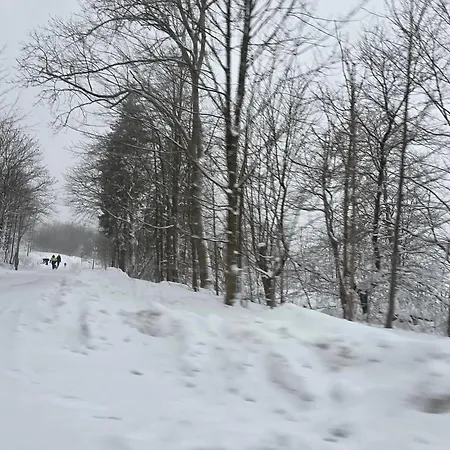 Tatil Evi Maiferien Harz - Haus Silberquelle - Bis 14 Personen Clausthal-Zellerfeld
