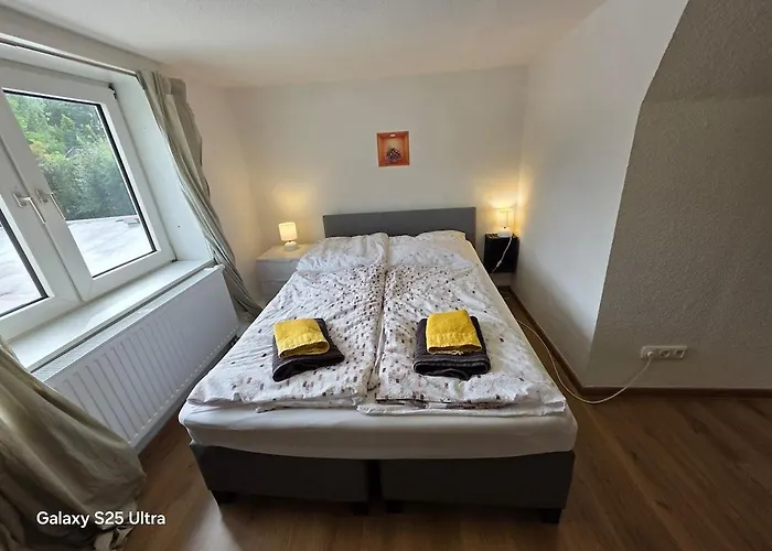 Ferienhaus Mai-ferienhaus-harz 210qm *