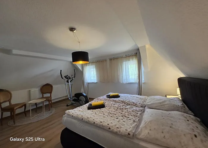 Mai-ferienhaus-harz 210qm