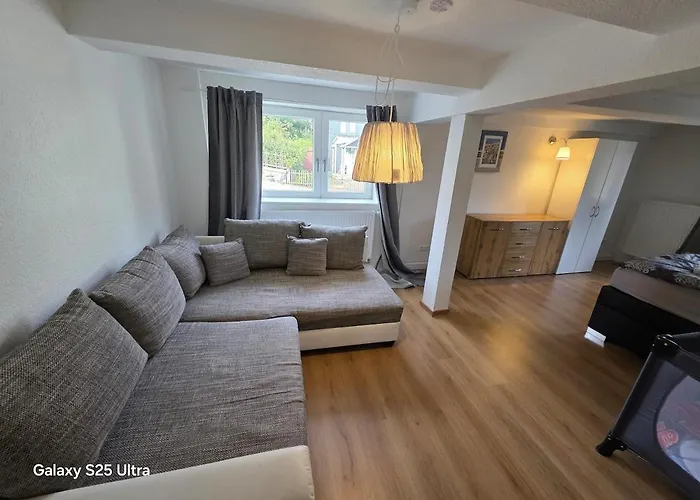 Ferienhaus Mai-ferienhaus-harz 210qm