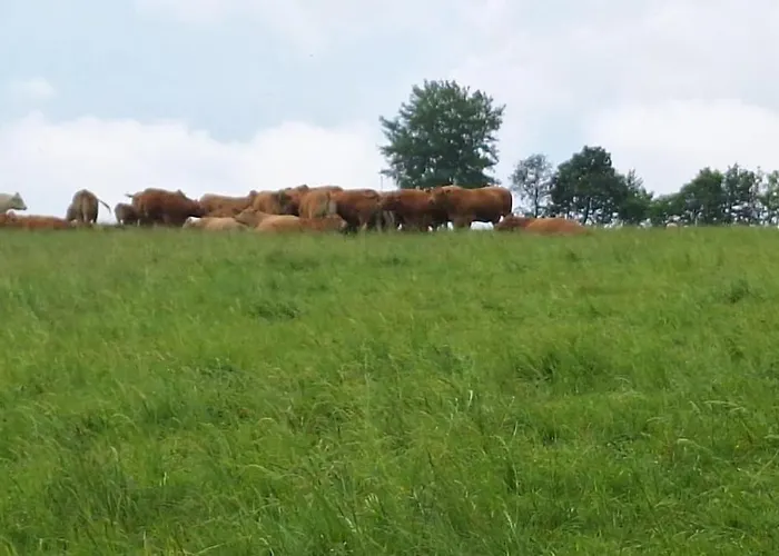 Ferienhaus Mai-ferienhaus-harz 210qm *