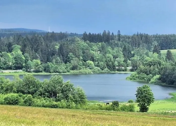 Mai-ferienhaus-harz 210qm Clausthal-Zellerfeld