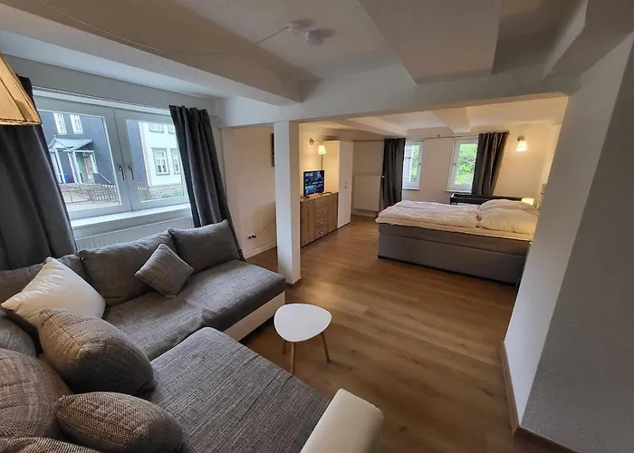 Mai-ferienhaus-harz 210qm Ferienhaus *