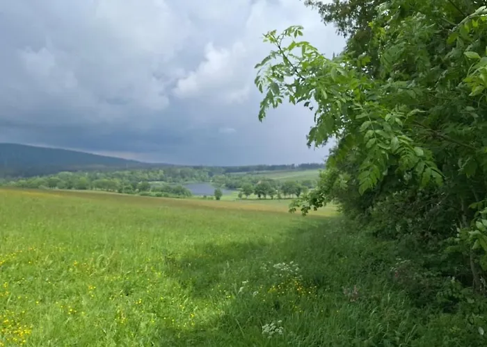 Mai-ferienhaus-harz 210qm Clausthal-Zellerfeld