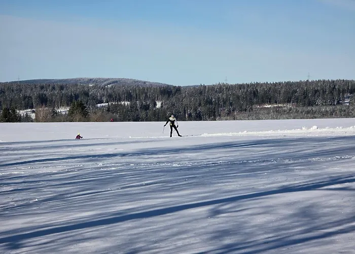 Mai-ferienhaus-harz 210qm